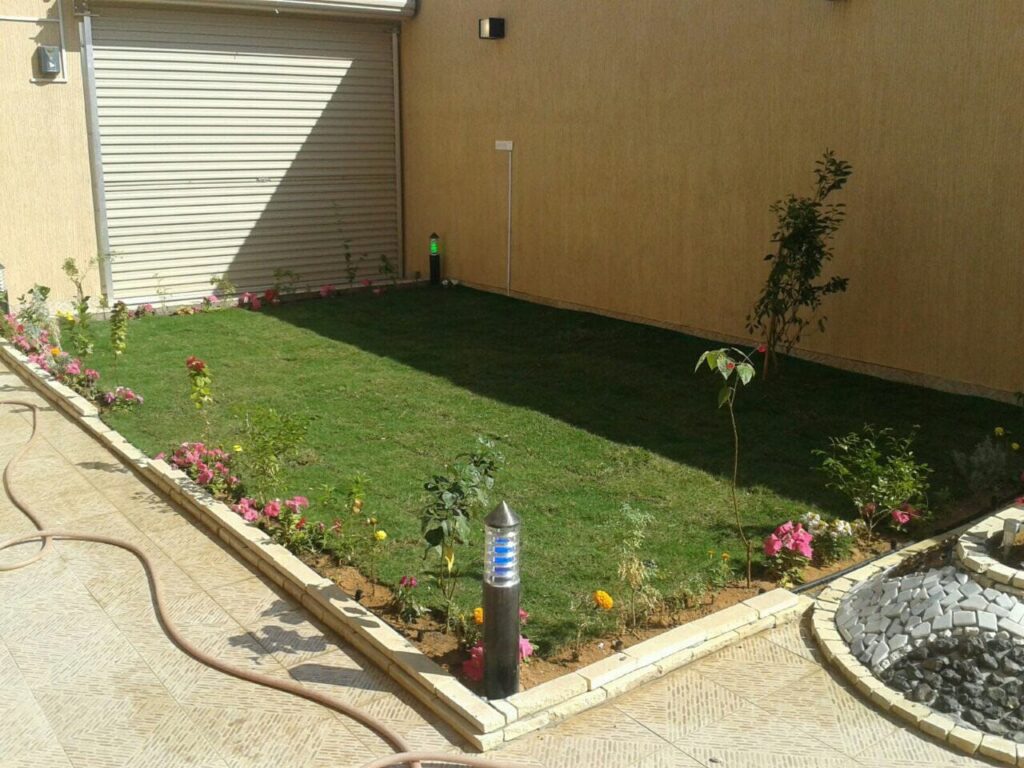 عشب طبيعي وشبكات الري بالقصيم